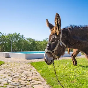 Burro Ville Portimão